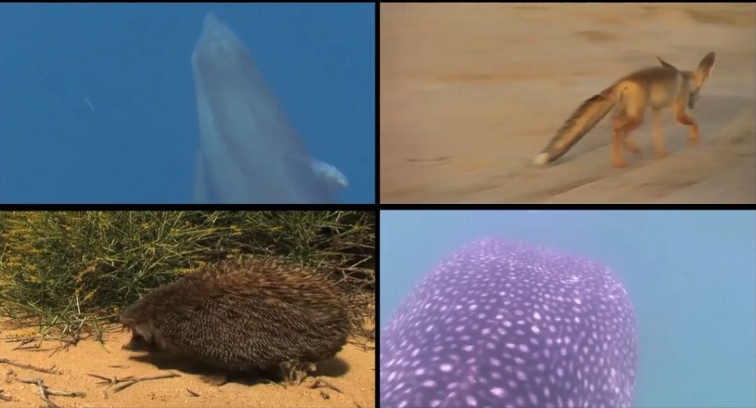 亚投娱乐(中国区)官方网站入口