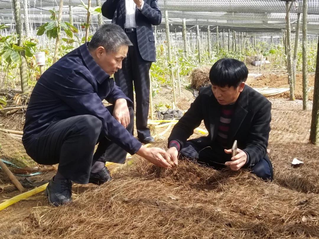 亚投娱乐(中国区)官方网站入口