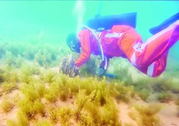 亚投娱乐(中国区)官方网站入口