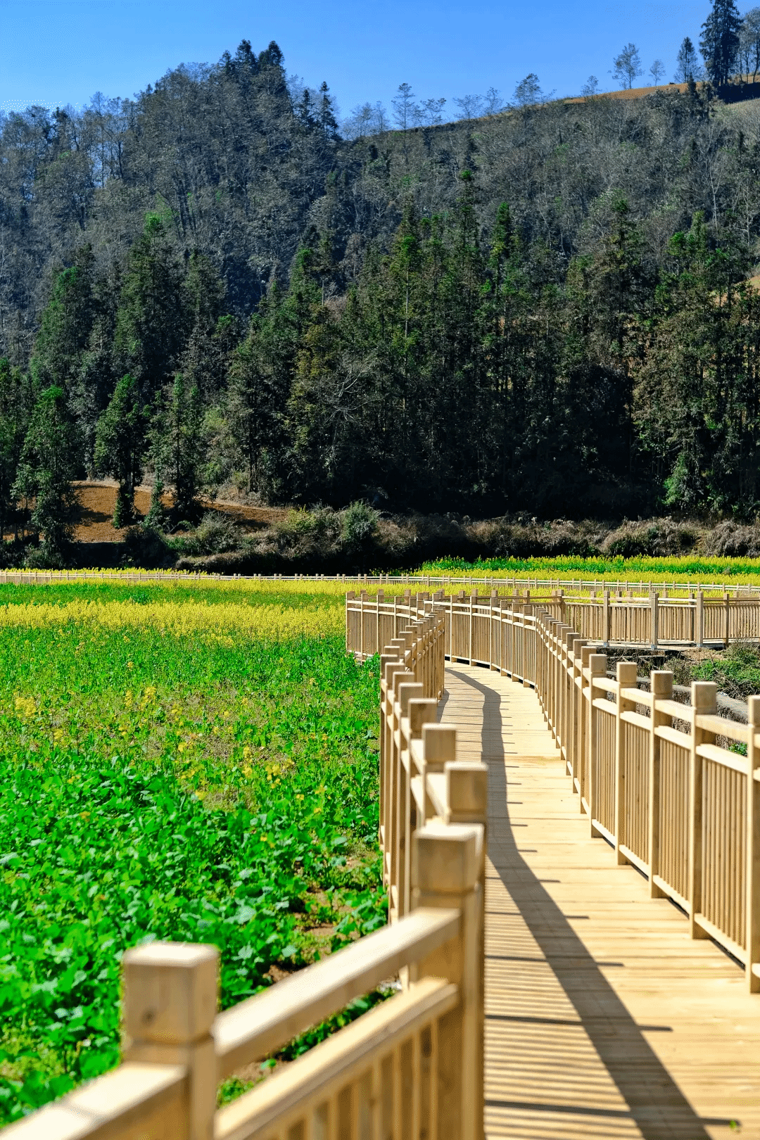 亚投娱乐(中国区)官方网站入口