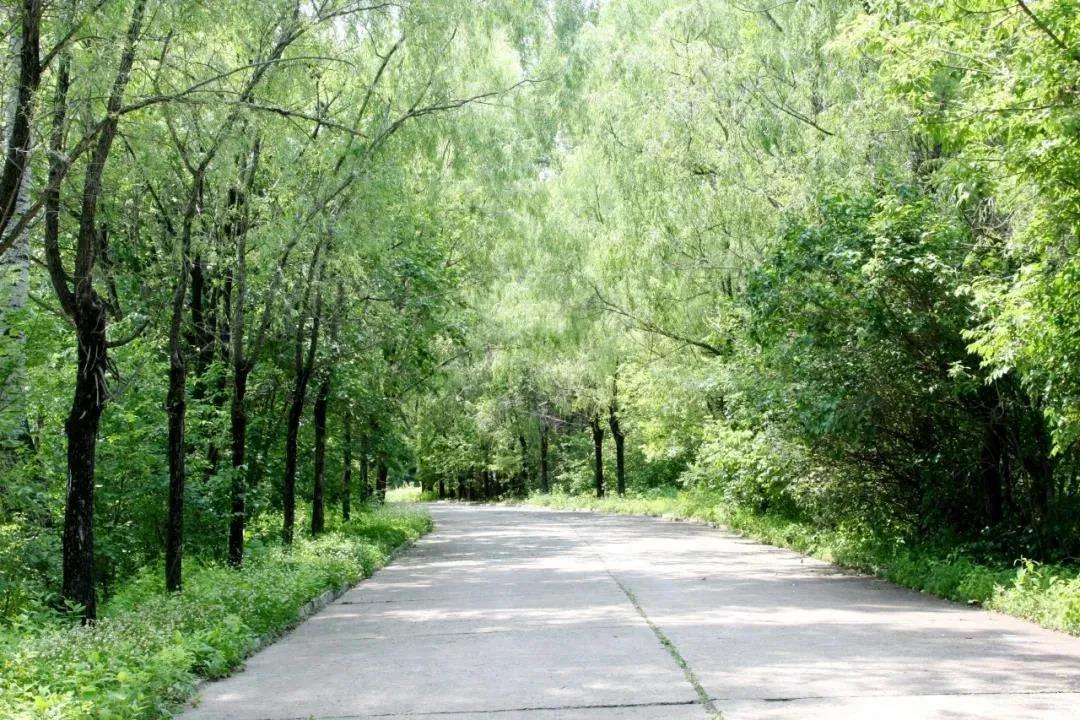 亚投娱乐(中国区)官方网站入口