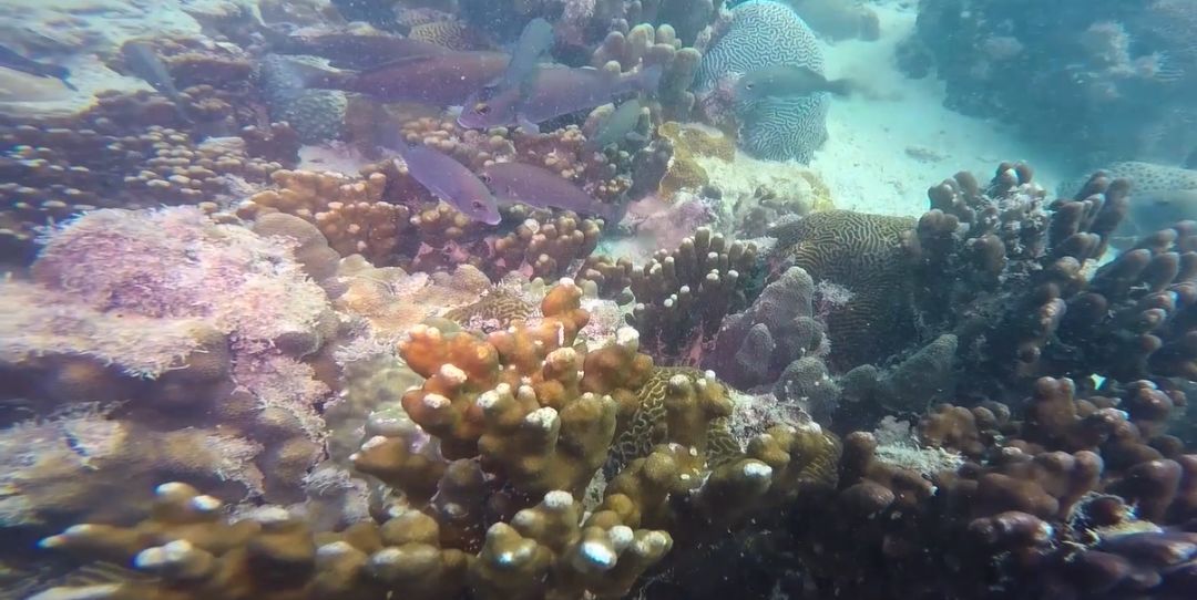 亚投娱乐(中国区)官方网站入口