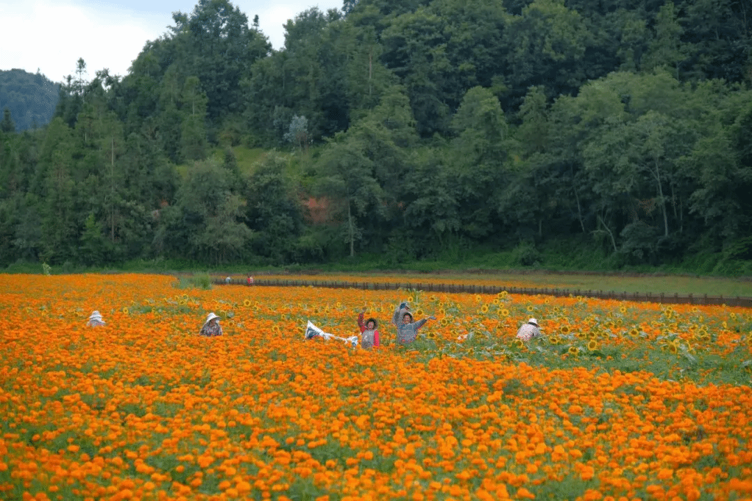 亚投娱乐(中国区)官方网站入口